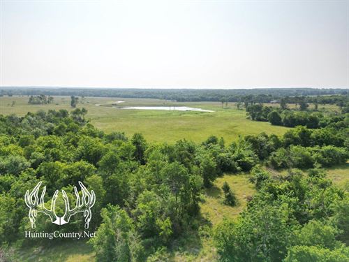 504 Acres M/L & Home in Idabel, OK : Idabel : McCurtain County : Oklahoma