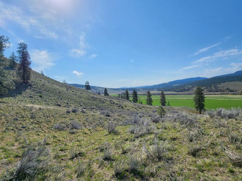Grange Hill Twenty Acre Parcels : Tonasket : Okanogan County : Washington