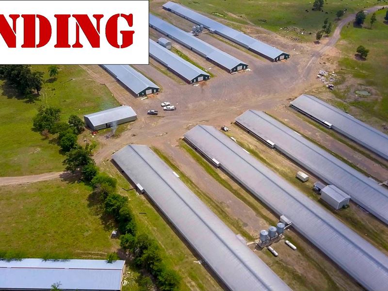 8 House Broiler Farm, OK Foods : Mena : Polk County : Arkansas