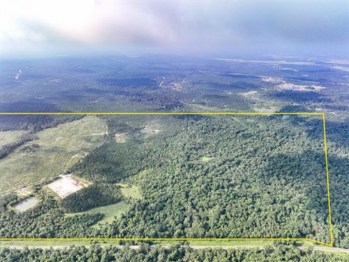 570 Acres, FM 2989, T-271006-1 : Huntsville : Walker County : Texas