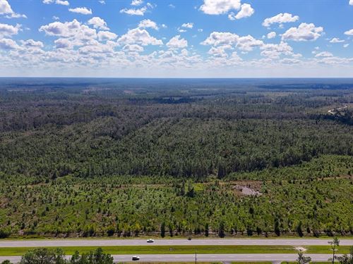 Williams Central Tract 3 : Du Pont : Clinch County : Georgia