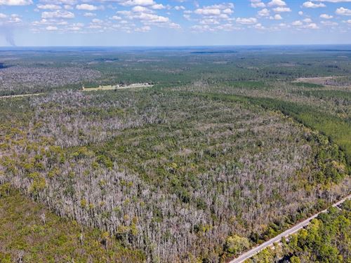 Williams Central Tract 1 : Du Pont : Clinch County : Georgia