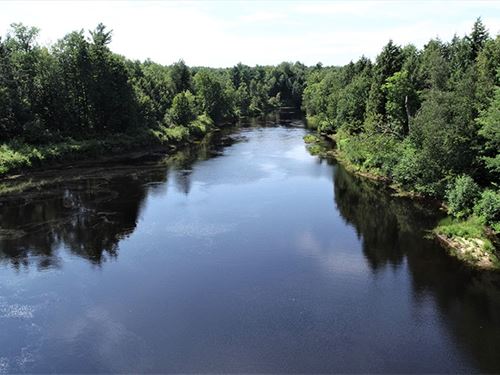 Lower Oswegatchie River Parcel 3 : Pitcairn : Saint Lawrence County : New York
