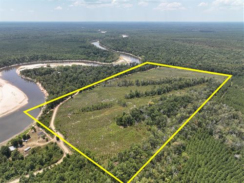 64 Acres, County Road 4085 : Belgrade : Newton County : Texas
