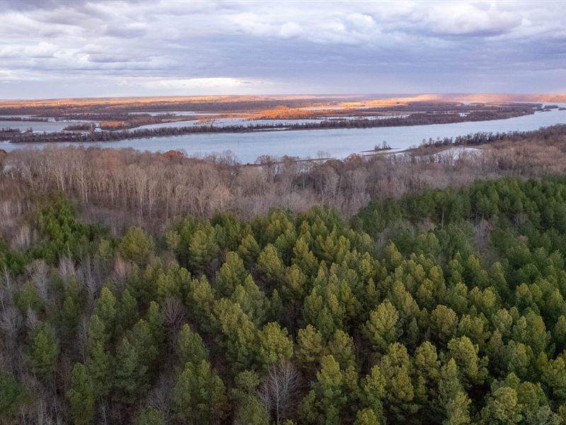 Tennessee River Overlook Tract 3 : Holladay : Benton County : Tennessee