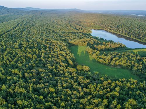 Ouachita Woods And Water : Waldron : Scott County : Arkansas