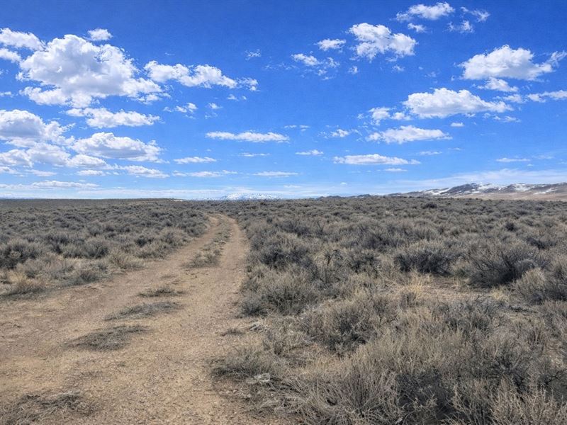 19.72 Acres Off-Grid Homestead Land : Elko : Elko County : Nevada
