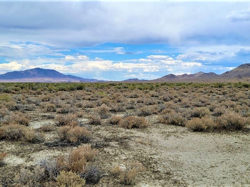 Priced to Sell- 42A Near Winnemucca : Winnemucca : Humboldt County : Nevada