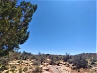 5 Acres in Apache County $200 Pcm : Saint Johns : Apache County : Arizona