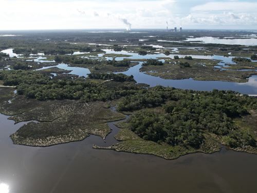 Levy County Islands : Yankeetown : Levy County : Florida