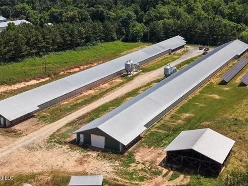 Forest MS Turnkey 2-House Breeder : Forest : Scott County : Mississippi