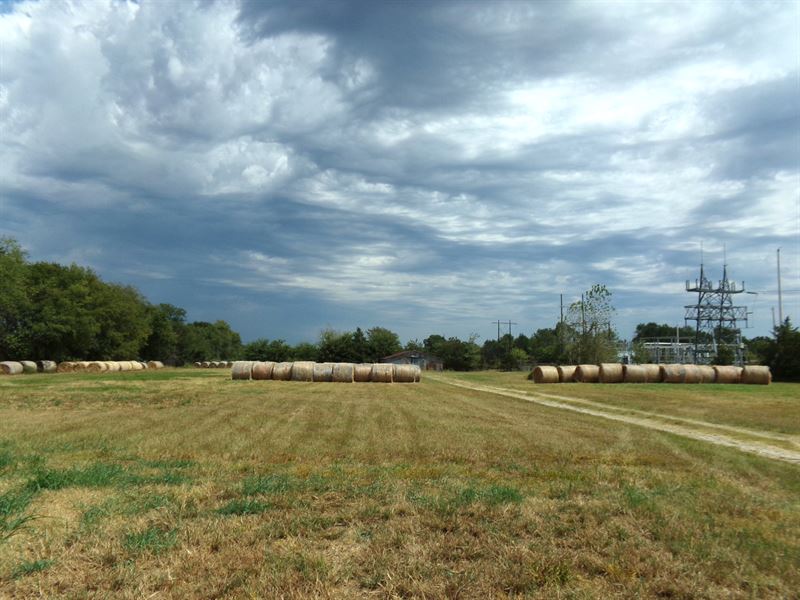 231 Acre Ranch for Sale in Blossom : Blossom : Lamar County : Texas
