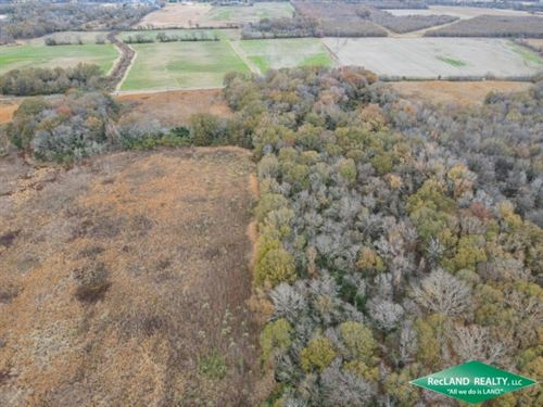 26.7 Ac Tract for Home & Hunting : Forest : West Carroll Parish : Louisiana
