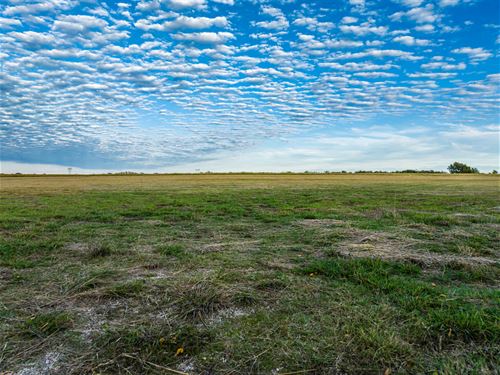 Pasture and Ranch Land NE TX : Paris : Lamar County : Texas