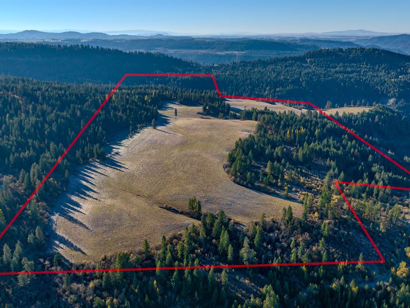 Hidden Meadows 320 Acres : Orofino : Clearwater County : Idaho