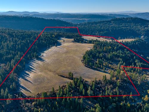 Hidden Meadows 320 Acres : Orofino : Clearwater County : Idaho