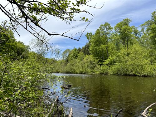 Mad River Camp Site : Florence : Oneida County : New York