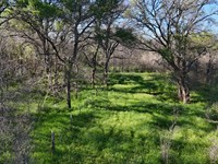 42Ac Ranch, Creek, Pond & No HOAs : Mart : Limestone County : Texas