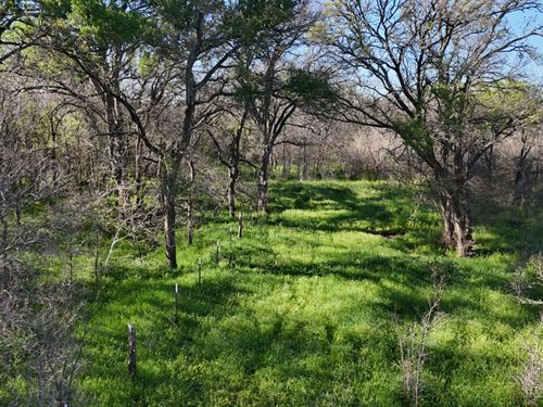 42Ac Ranch, Creek, Pond & No HOAs : Mart : Limestone County : Texas