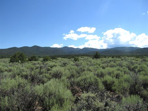 Mount Blanca Views Near Power : San Luis : Costilla County : Colorado