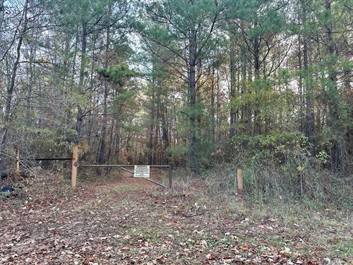 200 Acres Hunting And Timberland : Clarks : Caldwell Parish : Louisiana