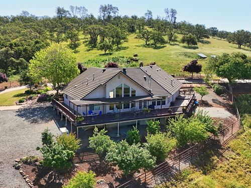 Mountain Pass Ranch : Valley Springs : Calaveras County : California