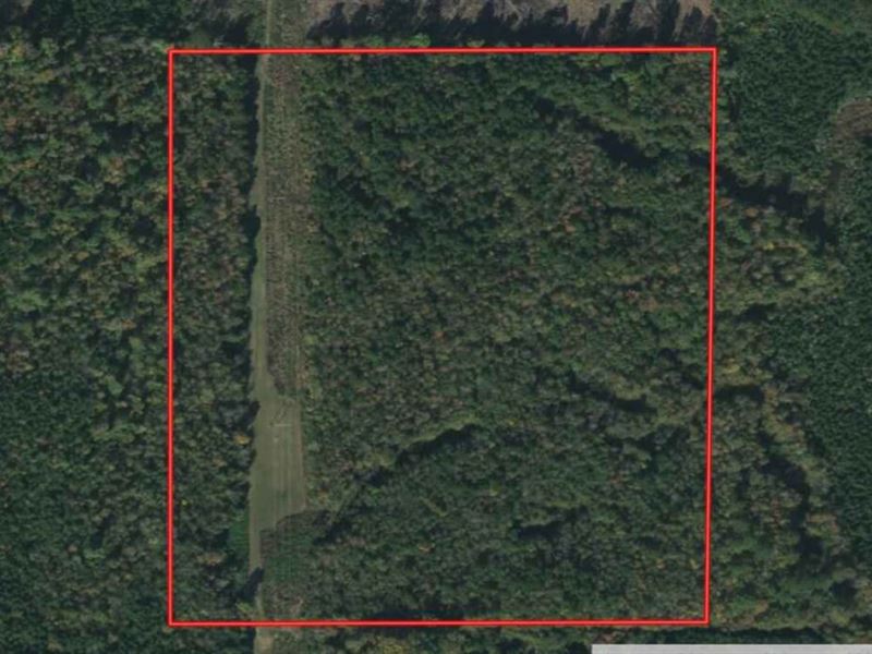 Ms, Winston 40 Acres : Noxapater : Winston County : Mississippi