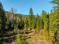 Secluded & Private Pilgrim Creek : Noxon : Sanders County : Montana
