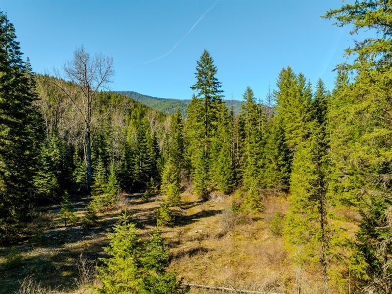 Secluded & Private Pilgrim Creek : Noxon : Sanders County : Montana