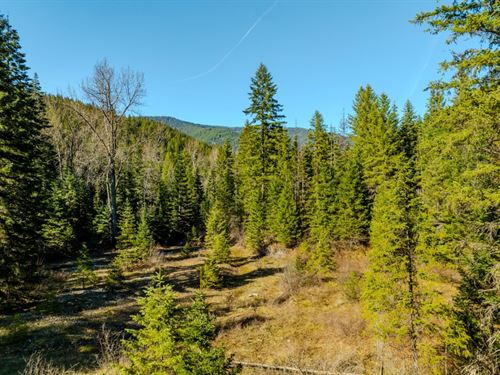 Secluded & Private Pilgrim Creek : Noxon : Sanders County : Montana