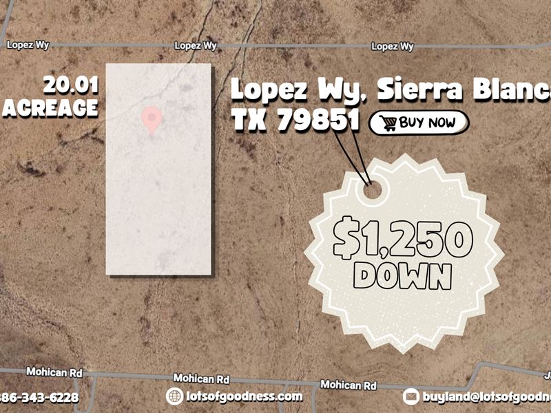 Over 20 Acres in Hudspeth County : Sierra Blanca : Hudspeth County : Texas