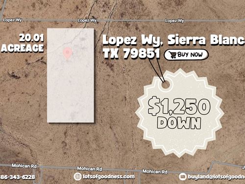 Over 20 Acres in Hudspeth County : Sierra Blanca : Hudspeth County : Texas