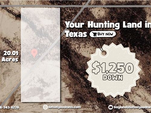 Hunting Land in Texas, Over 20 ac : Sierra Blanca : Hudspeth County : Texas