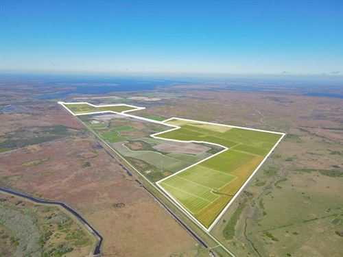 Hyatt Farms at Lake Kissimmee : Okeechobee : Osceola County : Florida