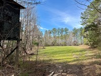 Thomasville East Hunting & Timber : Thomasville : Clarke County : Alabama