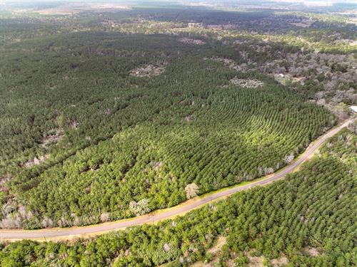 28 Acres, T-25 CR 2145 : Wheeler Springs : Houston County : Texas
