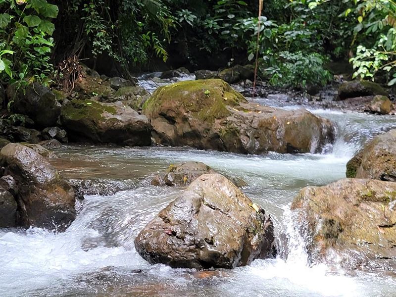 Beautiful Farm of Great Splendor : Turrubares : Costa Rica