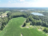 Black Oak Farms : Holly : Oakland County : Michigan