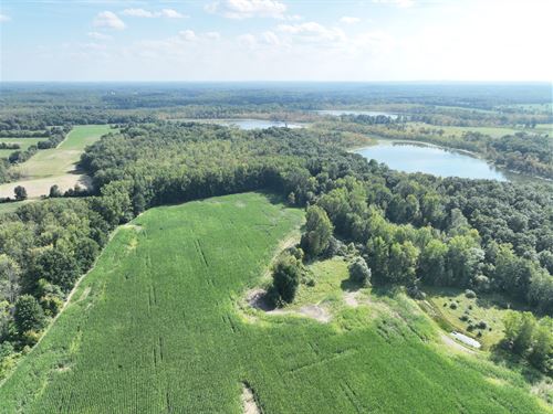 Black Oak Farms : Holly : Oakland County : Michigan