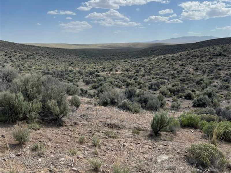 Northern Nevada Power, New Price : Deeth : Elko County : Nevada