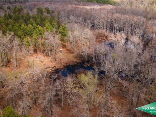 43 Ac, Rural Home Site with Pond : Monroe : Ouachita Parish : Louisiana