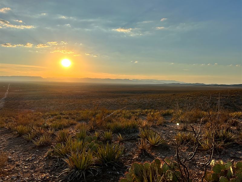 Mission Land Freedom Just $300/Mo : Van Horn : Culberson County : Texas