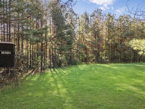 340 Acres Hunting Timberland For Sa : Greensburg : Saint Helena Parish : Louisiana