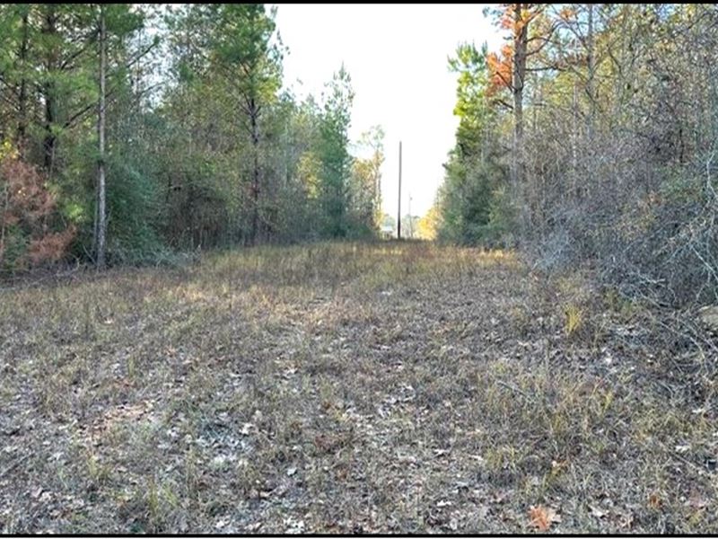 13.8 Acres in Copiah County in Wess : Wesson : Copiah County : Mississippi