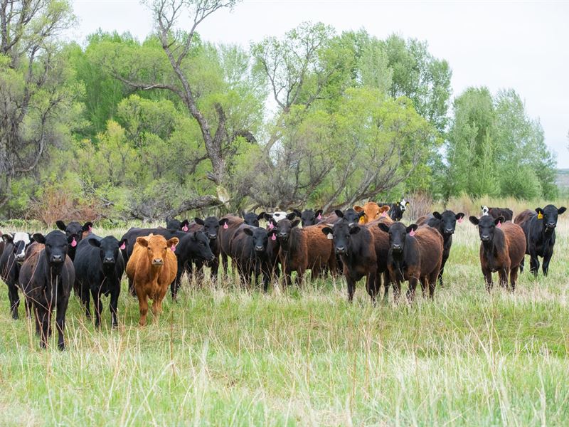 Thunder Water Ranch : Craig : Moffat County : Colorado