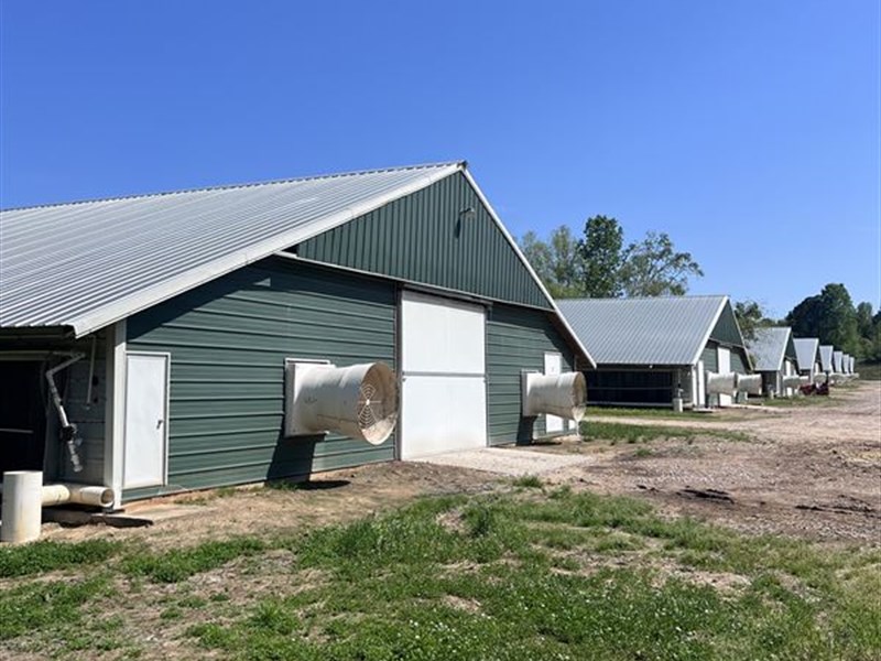 Clean 8 House Poultry Farm on 80 ac : Pelahatchie : Rankin County : Mississippi