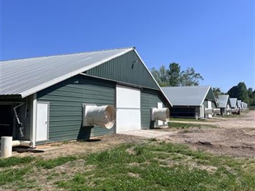 Clean 8 House Poultry Farm on 80 ac : Pelahatchie : Rankin County : Mississippi