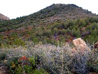 Spectacular Near Grand Canyon : Meadview : Mohave County : Arizona