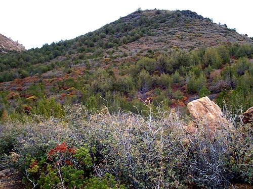 Spectacular Near Grand Canyon : Meadview : Mohave County : Arizona