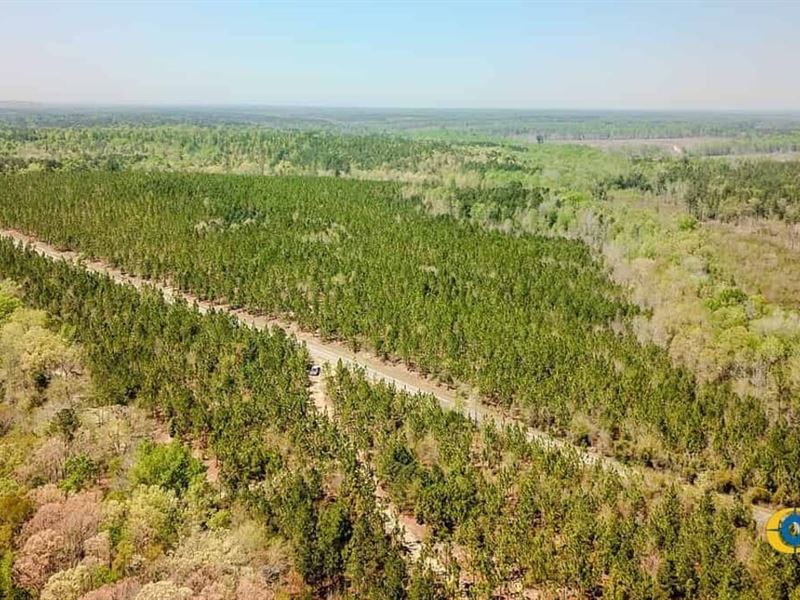 Buffalo Creek North Tract : Jefferson : Kershaw County : South Carolina